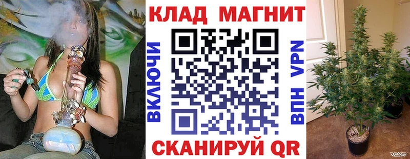 Магазин наркотиков Пошехонье Бошки Шишки  Метамфетамин  Cocaine  АМФЕТАМИН  Гашиш  Меф 
