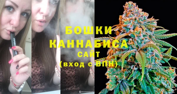 твердый Пересвет