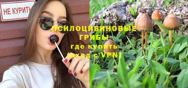 прущие грибы Пестово