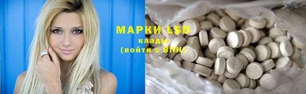 прущие грибы Пестово