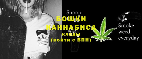 прущие грибы Пестово