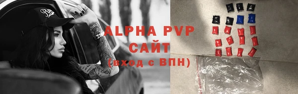 прущие грибы Пестово