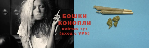 твердый Пересвет
