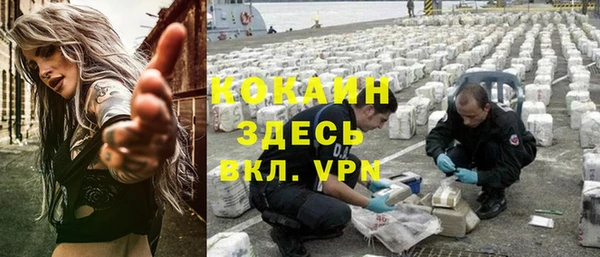 твердый Пересвет