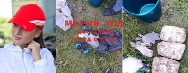 прущие грибы Пестово