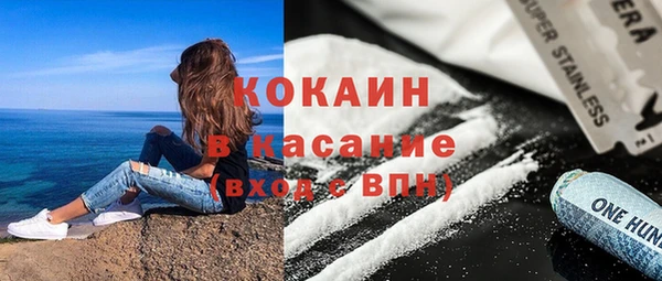 твердый Пересвет