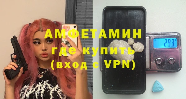 твердый Пересвет