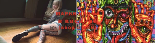твердый Пересвет
