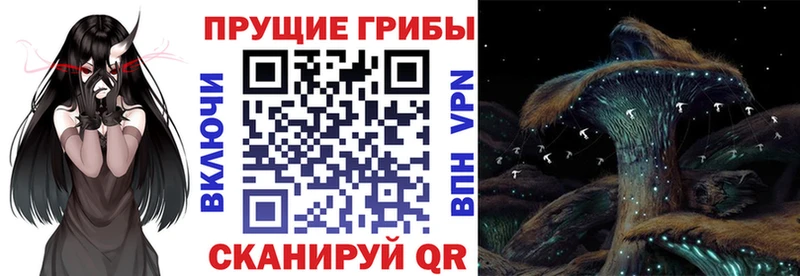 Галлюциногенные грибы мухоморы  что такое   Пошехонье 